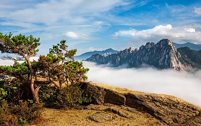 울산암