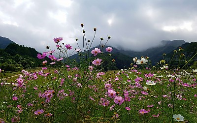 설천봉을 바라보고