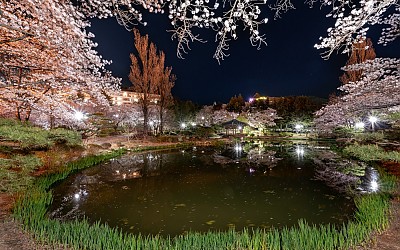 보문정