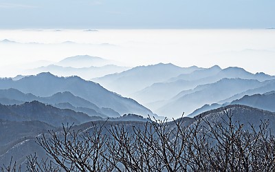 몽유도원도