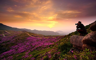 사진속 주인공께서는 댓글 남겨 주세요.