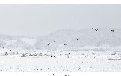 눈 오는 날