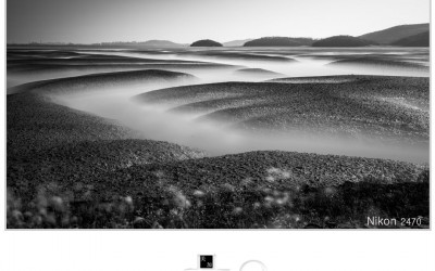 늦은 오후빛에 물드는 갯골~~