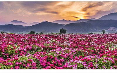 일출 빛 물드는 시간