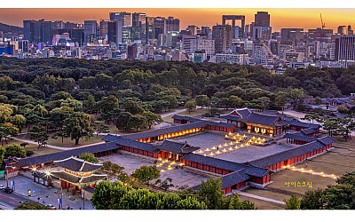 보고싶은 것만
