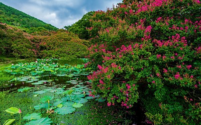 명옥헌