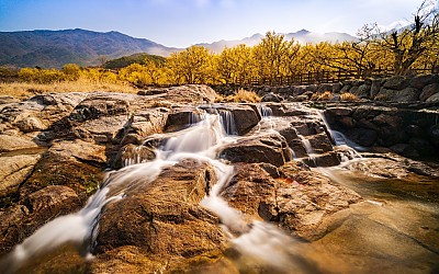 산동마을