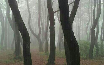 금정산