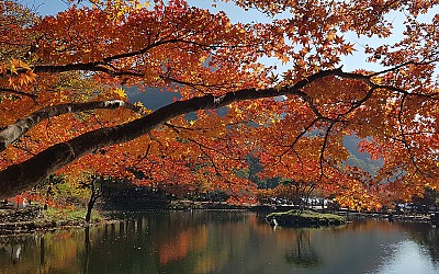 가을을 보내며...