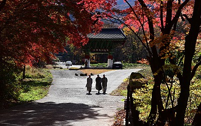 산사의 가을길.