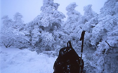 한라산.