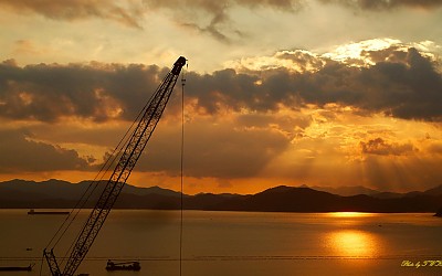 Crane