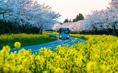 그리운 '녹산로' !