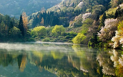 세량제의 봄