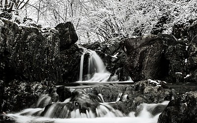 춘설