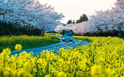 녹산로 !
