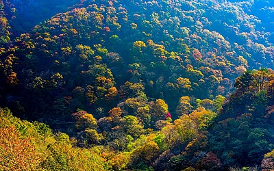 기을 수채화