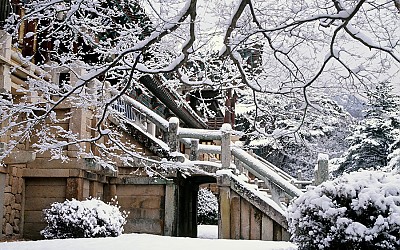 불국사 설경