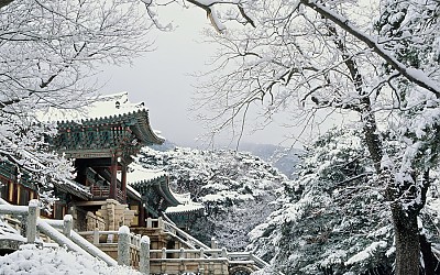 불국사 국민 포인트