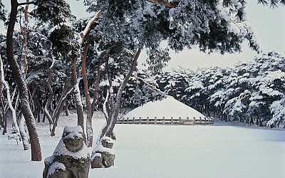 경주 괘능