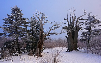 태백산