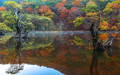 주산지 반영