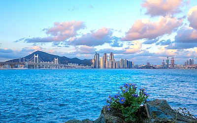 호수공원