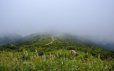 북유럽 여행중