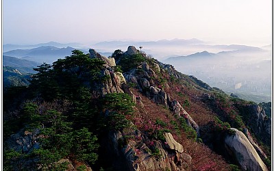 도봉산의 봄