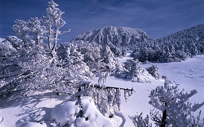 한라산풍경.