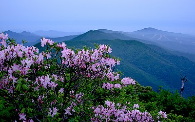 함백산