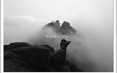 용인,신갈