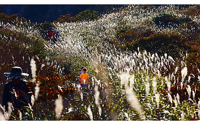 가을 산행