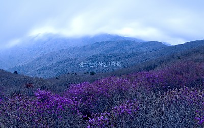 달궁스케치