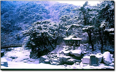 농산정의 겨울(Gayasan 1,433m)