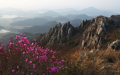 달마산의 봄