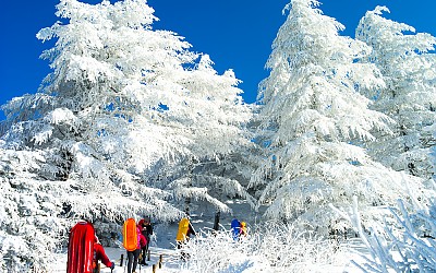 바래봉의 겨울산행