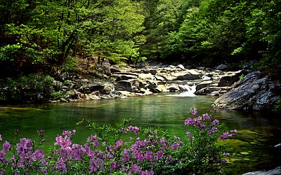 지리산을 다녀와서