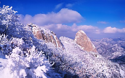 겨울의 끝자락에서