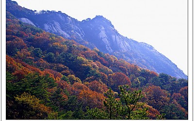 형제봉