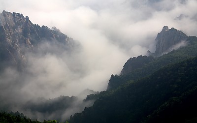 산