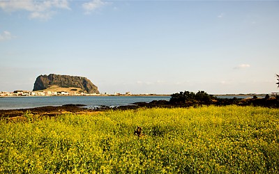 성산의 봄