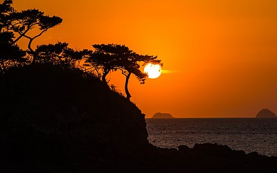 솔섬의 수호신 여의주 물다