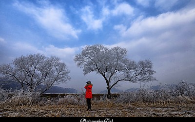 파주 오금교 상고대
