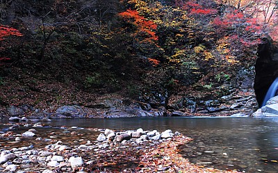 용소골