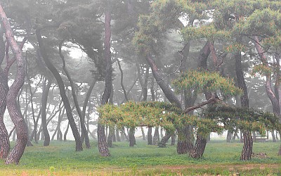 임한리.