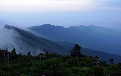 줄뚱 말뚱