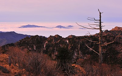 지리산