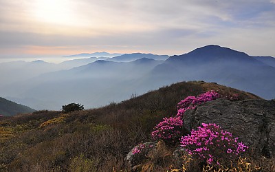 지리산