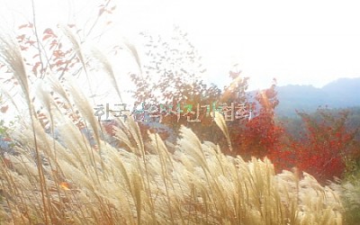 무주 덕유산 주차장 라인앞...